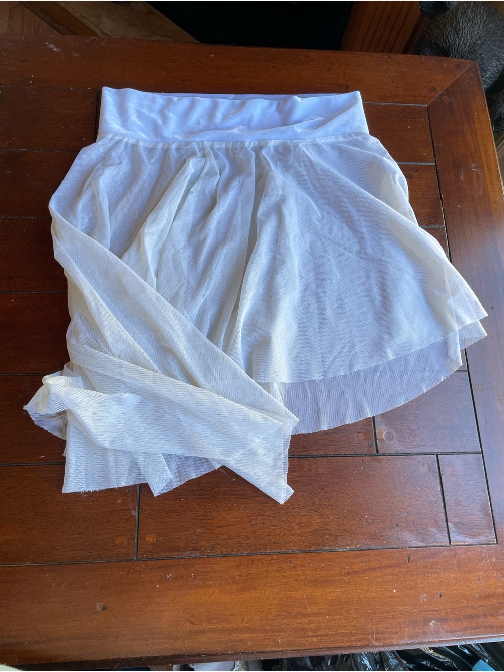 White Sheer Dance Skirt